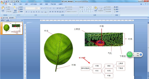 PPT如何制作結構圖？PPT制作結構圖教程