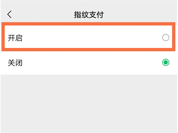 蘋果13微信支付怎么設置指紋