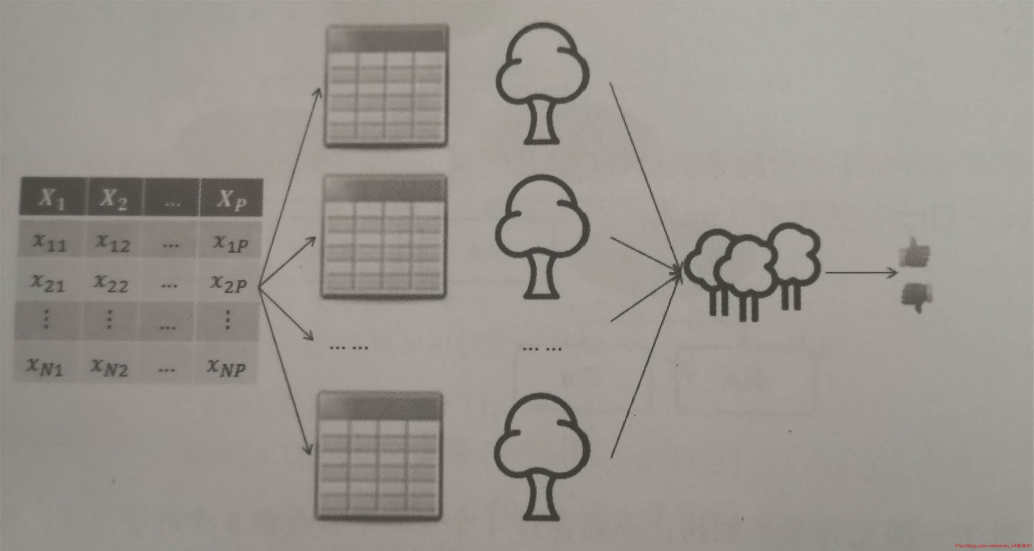 Python機器學習之決策樹和隨機森林