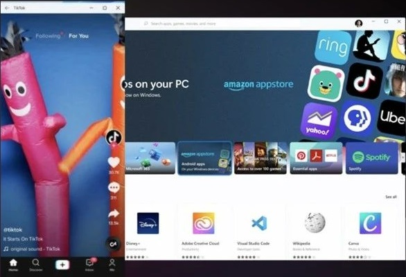 強行升級Win11后不能更新怎么辦？