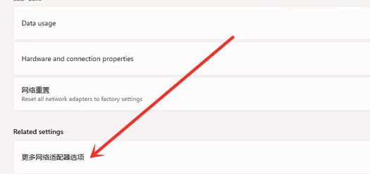 Win11如何查看Wifi密碼？Win11查看Wifi密碼的方法