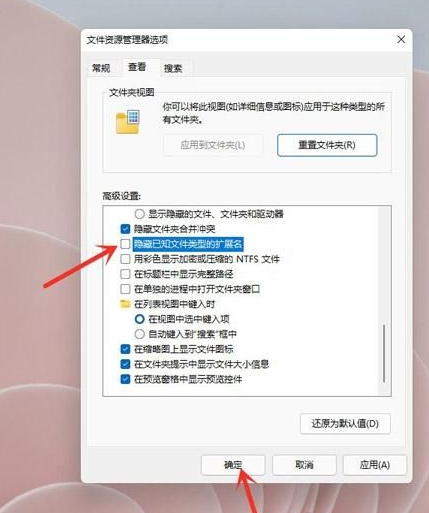 Win11怎么顯示文件后綴名？Win11顯示文件后綴名操作方法