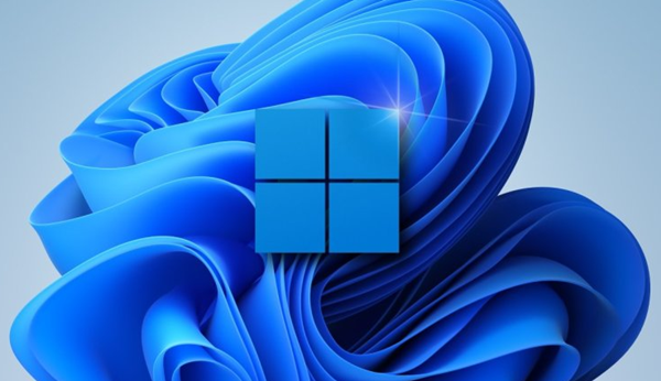 Win11如何查看隱藏項目？Win11查看隱藏項目的方法