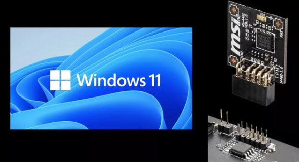 Win11系統怎么查詢tpm版本？Win11系統查詢tpm版本方法