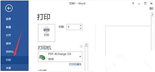 Win10 20H2系統使用Word文檔打印不出圖片怎么回事？