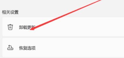Win11資源管理器自動重啟怎么辦？Win11資源管理器自動重啟的解決方法