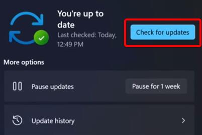 Win11更新卡在0%怎么辦？Win11更新卡在0%解決方法