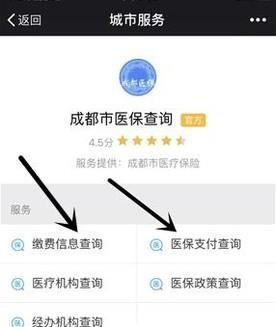 不用關注，微信直接查詢社保（醫保）余額/繳費