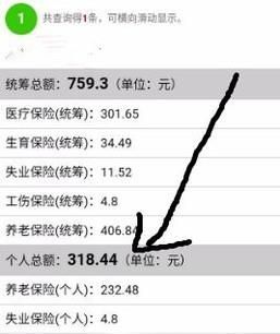 不用關注，微信直接查詢社保（醫保）余額/繳費
