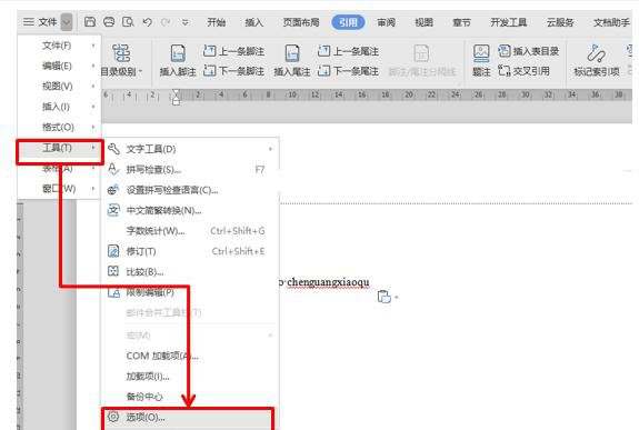WPS/Word如何去除煩人的波浪線？兩步輕松去掉WPS/Word波浪線