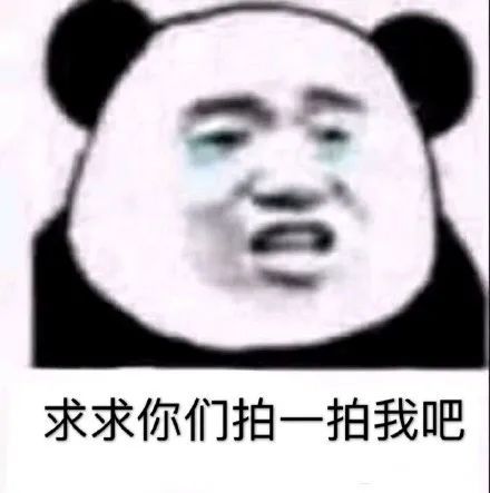微信拍一拍可以加后綴嗎？當然！創意搞笑后綴弄起來！