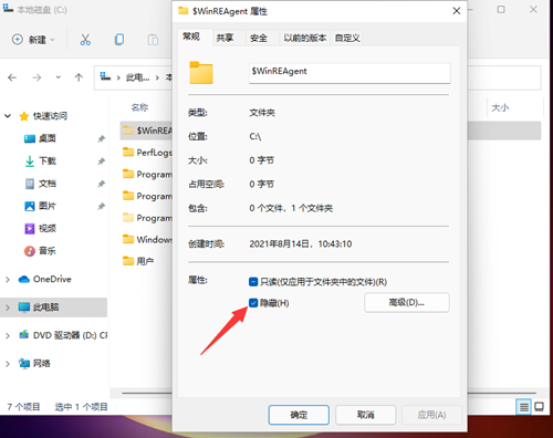 Win11如何查看所隱藏的文件？Win11查看隱藏的文件的方法