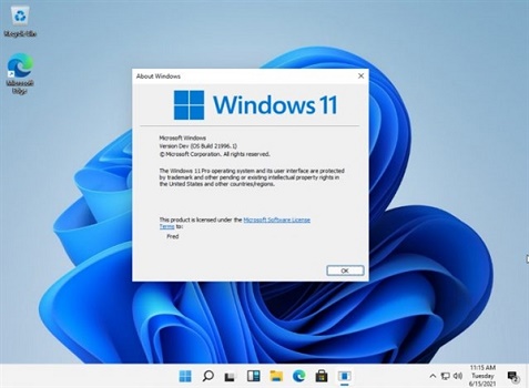 Win11重置失敗怎么辦？Win11重置失敗解決方法