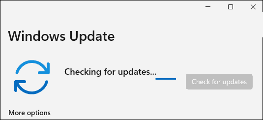如何手動更新Windows11？手動更新Windows11方法教程
