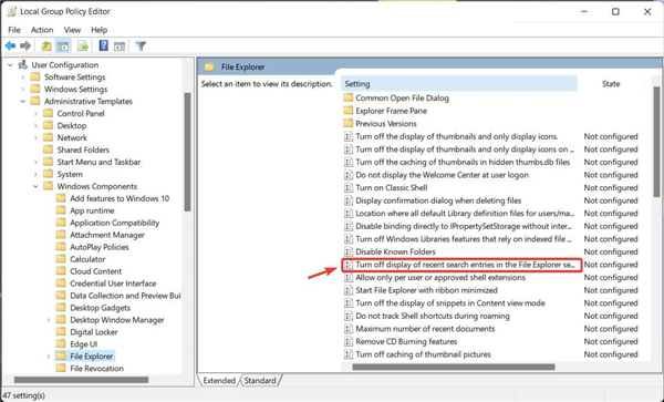 怎么在Windows11上禁用文件資源管理器搜索歷史記錄？