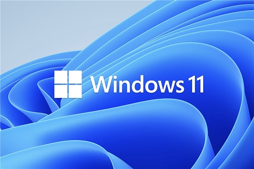 Win11外接顯示器沒反應怎么辦？