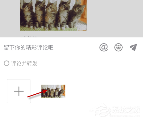 抖音貓咪搖頭蹦迪表情包怎么發？抖音5只貓點頭表情包下載