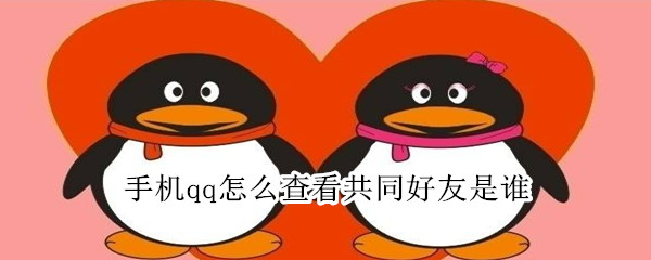 手機qq怎么查看共同好友是誰