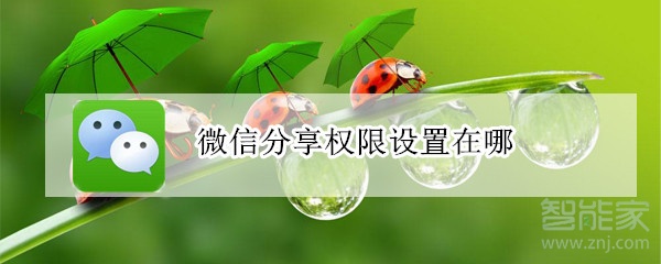 微信分享權限設置在哪