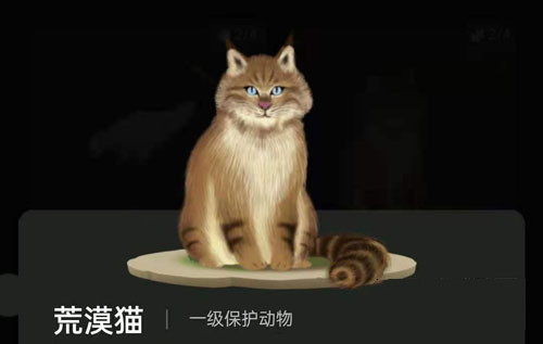 螞蟻森林里的小動物怎么獲得？螞蟻森林里的小動物有哪些？