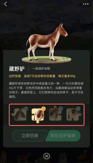 螞蟻森林里的小動物怎么獲得？螞蟻森林里的小動物有哪些？