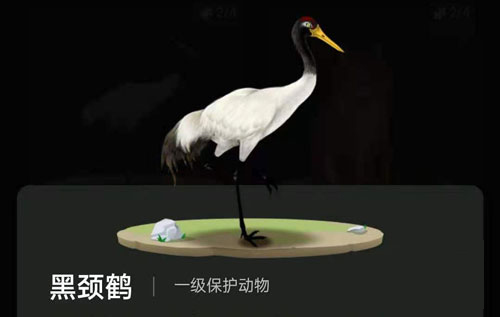 螞蟻森林里的小動物怎么獲得？螞蟻森林里的小動物有哪些？