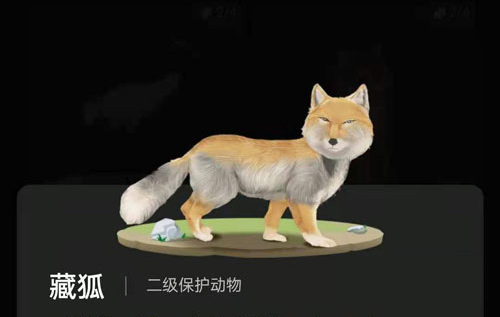 螞蟻森林里的小動物怎么獲得？螞蟻森林里的小動物有哪些？