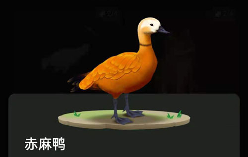 螞蟻森林里的小動物怎么獲得？螞蟻森林里的小動物有哪些？