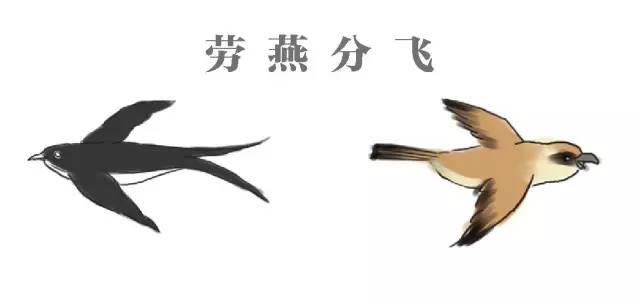 2021年5月10日支付寶螞蟻莊園答案是什么？螞蟻莊園小課堂5.10今日最新答案