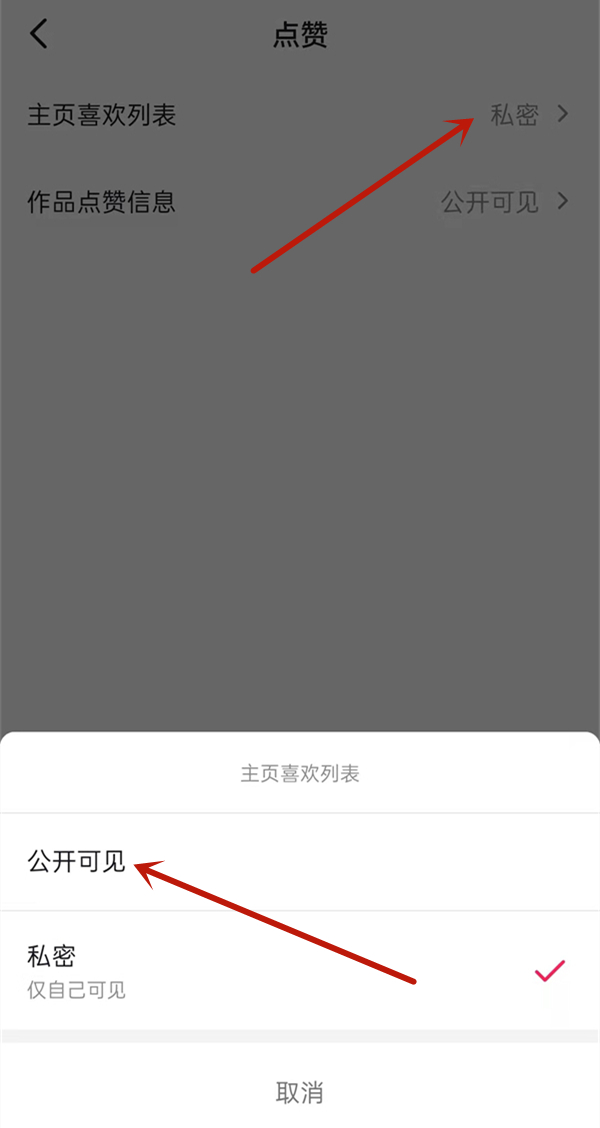 抖音公開喜歡的作品在哪里打開