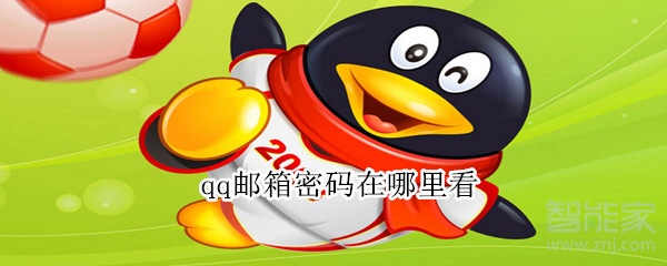 qq郵箱密碼在哪里看