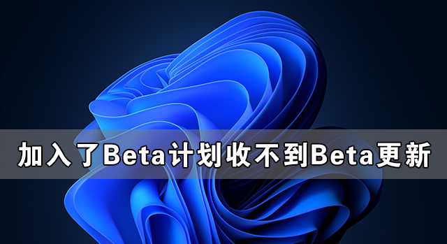 Windows系統加入了Beta計劃卻收不到Win11 Beta的更新