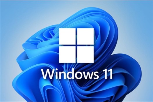 Win11不能參加預覽體驗計劃怎么辦？Win11不能參加預覽體驗計劃解決方法