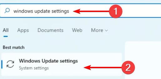 Win11攝像頭打不開怎么辦？Win11攝像頭打不開的解決方法