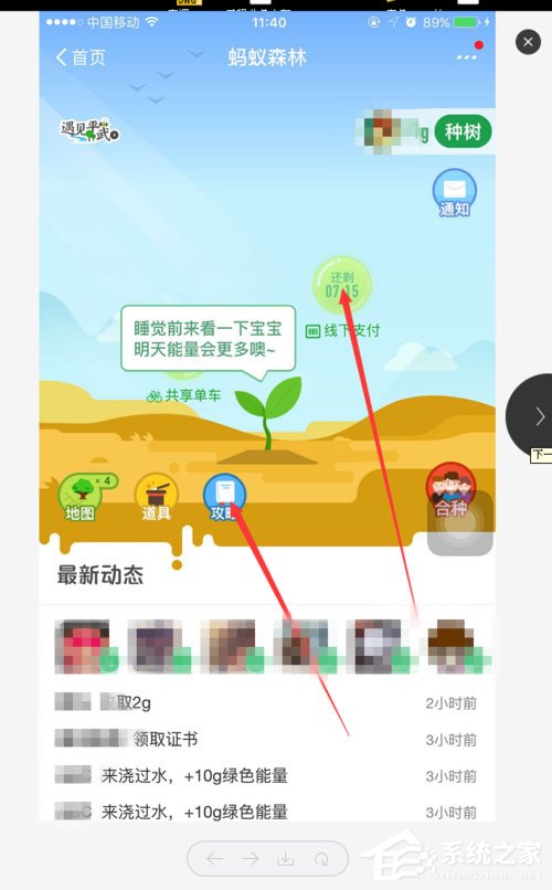 支付寶螞蟻森林能量怎么獲??？