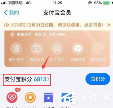 支付寶積分在哪里看？支付寶積分查看方法