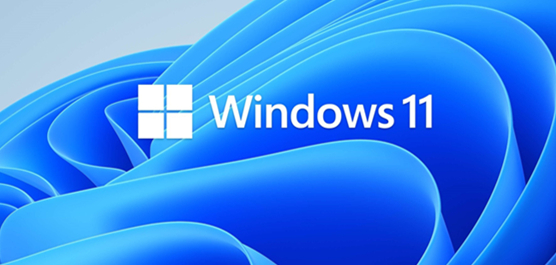 怎么免安裝體驗Win11？免安裝體驗Win11的方法