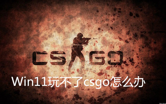 Win11玩不了csgo怎么辦？Win11玩不了csgo的解決方法