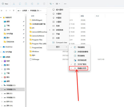 Win11如何查看隱藏文件？Win11查看隱藏文件的方法