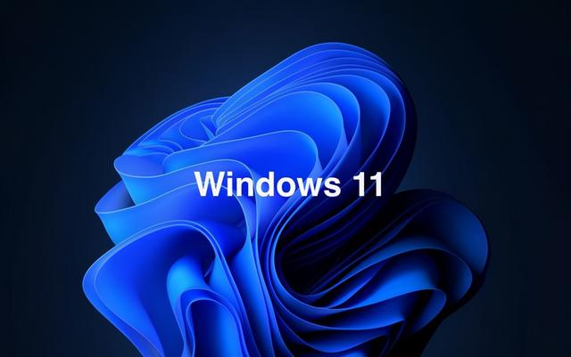 Win11專業版和家庭版哪個好用？Win11專業版和家庭版對比