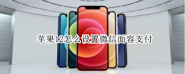 蘋果12怎么設置微信面容支付