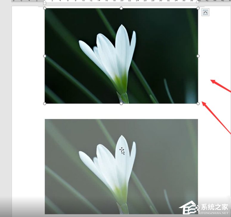 Word如何制作雙重曝光特效？制作雙重曝光特效的方法