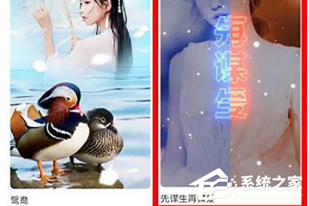 抖音先謀生再謀愛卡點怎么拍攝？借助逗拍輕松搞定
