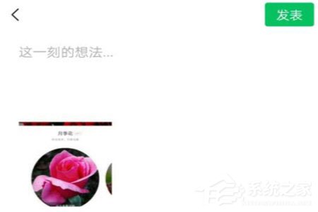 形色識花怎么分享到微信？形色識花怎么分享到微信的方法