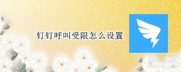 釘釘呼叫受限怎么設置