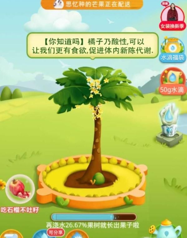 拼多多果園果實長成熟真能發貨?多多果園領水滴
