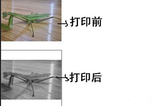 Win10打印圖片沒打印全怎么辦？