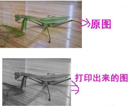 Win10打印圖片沒打印全怎么辦？