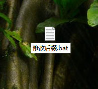 Win10電腦怎么修改文件的后綴名？Win10電腦修改文件后綴名的方法