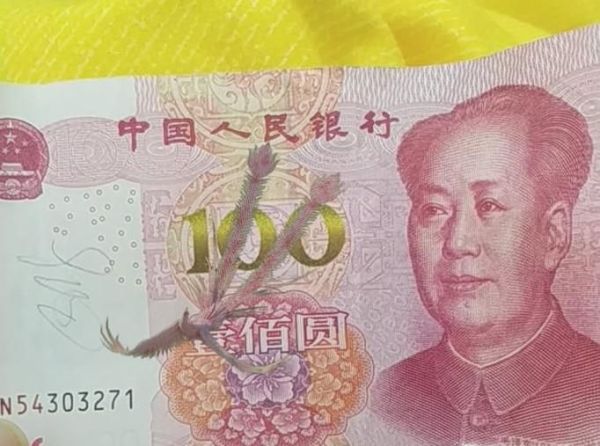 怎么能用QQ看到100元人民幣里的吉祥鳳凰？